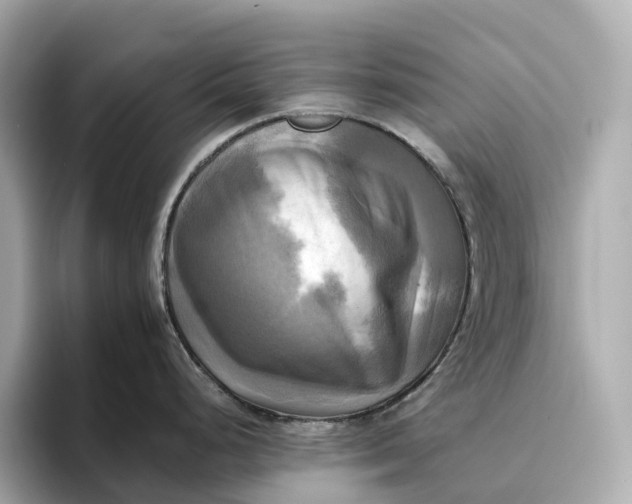 X0000095121248200712211303