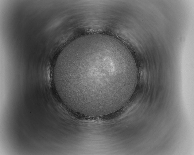 X0000095121250200712211302