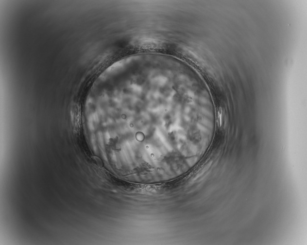 X0000095121251200712211302