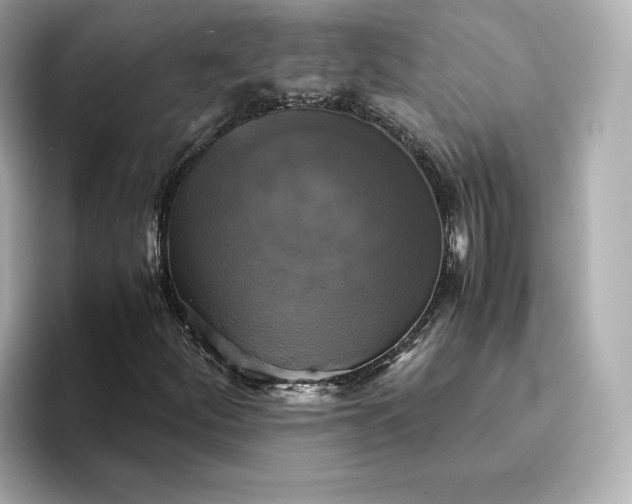 X0000095121252200712211302