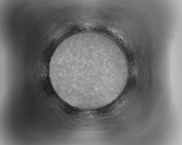 X0000095121253200712211302