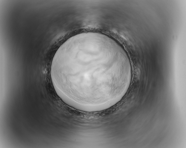 X0000095121254200712211302