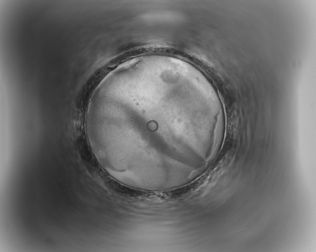 X0000095121255200712211302