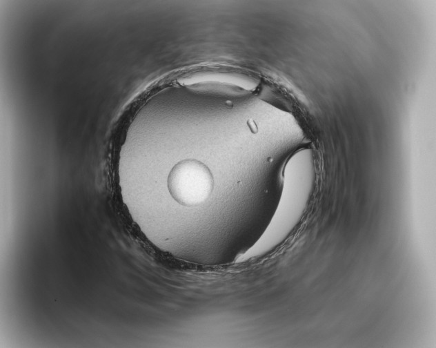 X0000095121256200712211302