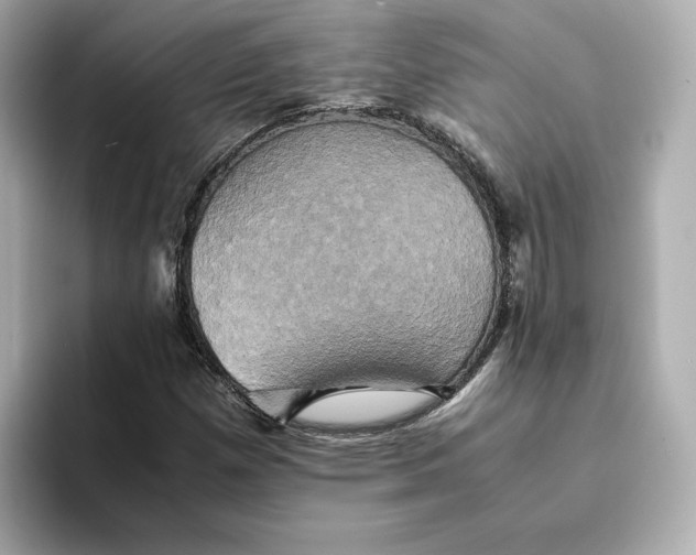 X0000095121257200712211302