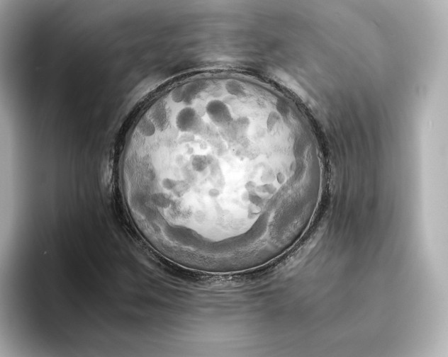 X0000095121259200712211302