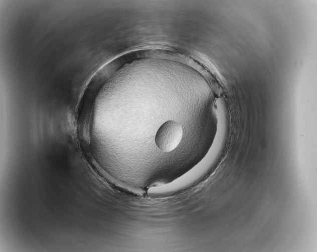 X0000095121260200712211302