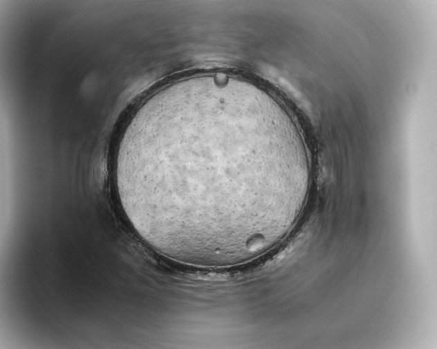 X0000095121261200712211302