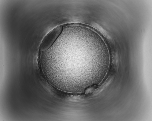 X0000095121264200712211302