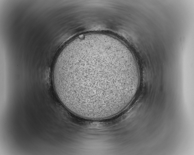 X0000095121265200712211302