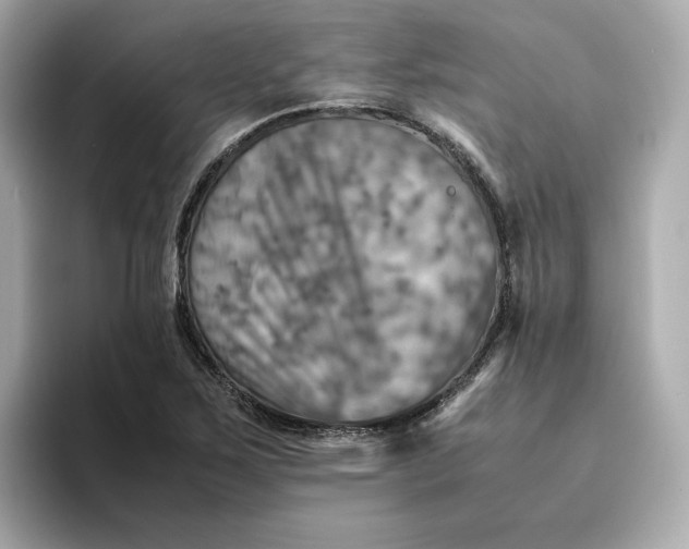 X0000095121267200712211302