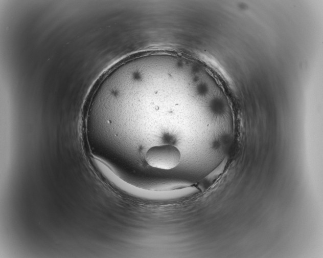 X0000095121268200712211302