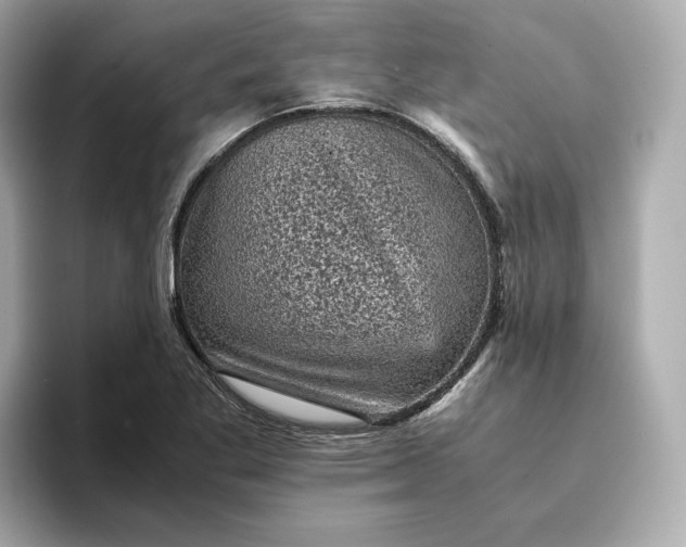 X0000095121269200712211302