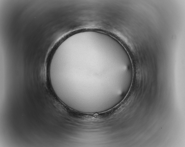 X0000095121270200712211302