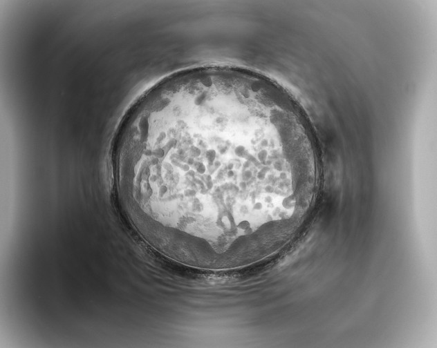 X0000095121271200712211302