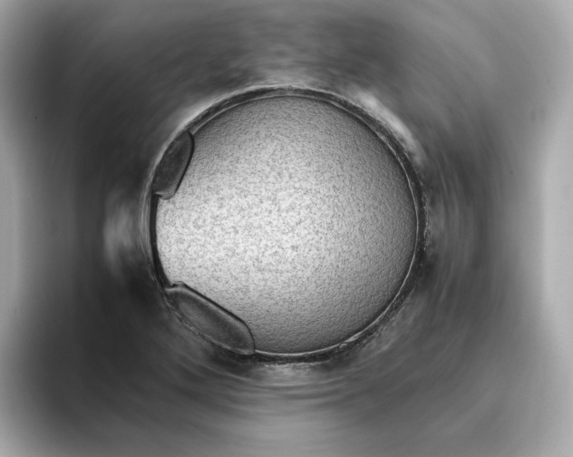 X0000095121272200712211302