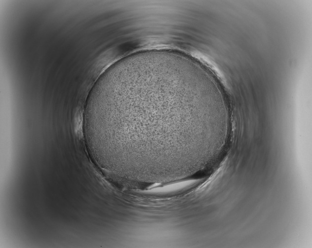 X0000095121273200712211302