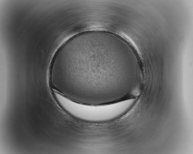 X0000095121277200712211302