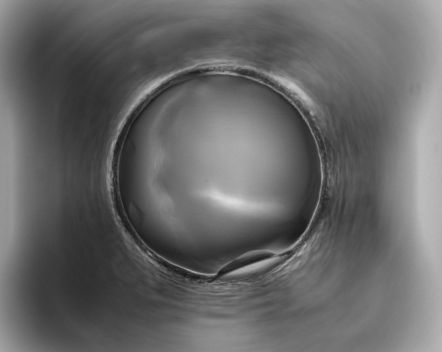 X0000095121279200712211302