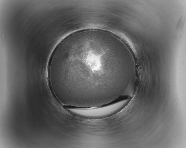 X0000095121280200712211302