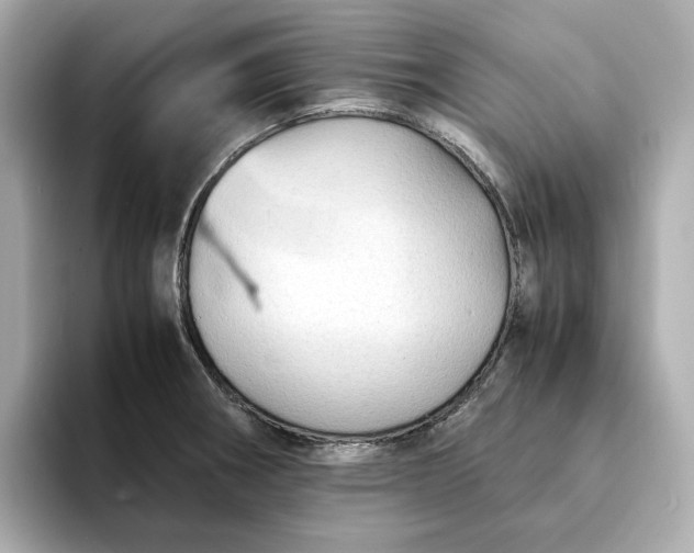 X0000095121282200712211302