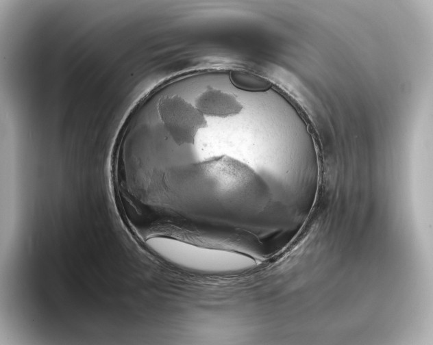 X0000095121283200712211302