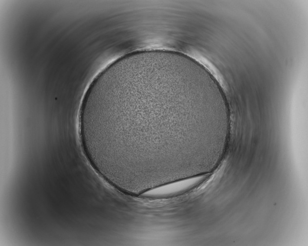 X0000095121285200712211302