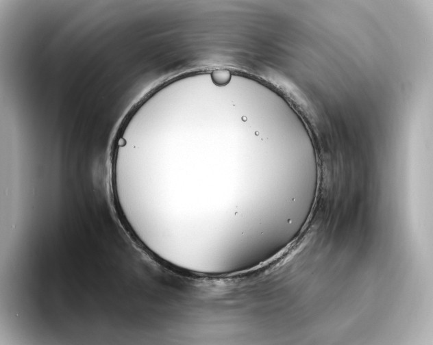 X0000095121286200712211302