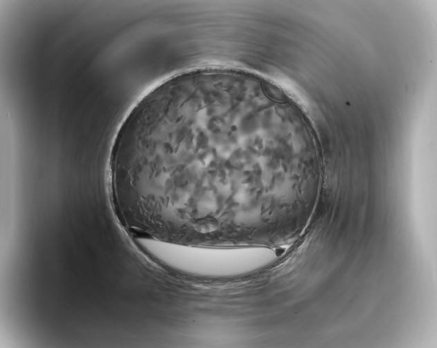 X0000095121287200712211302