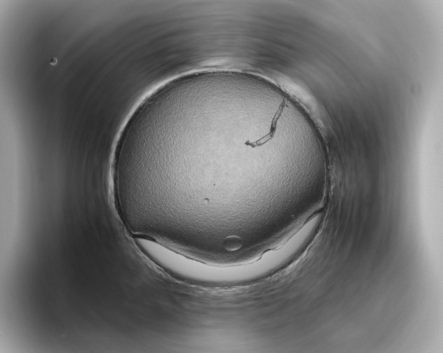 X0000095121288200712211302