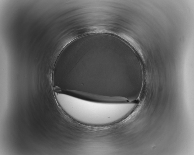 X0000095121289200712211302