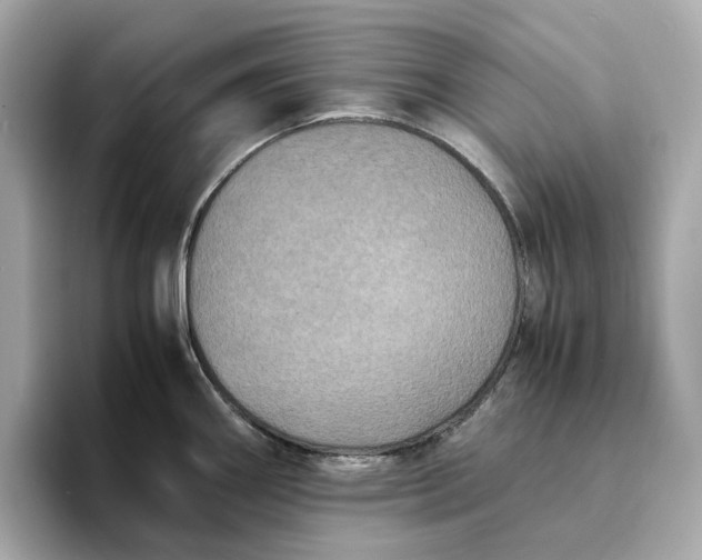 X0000095121290200712211302