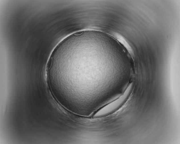 X0000095121292200712211302