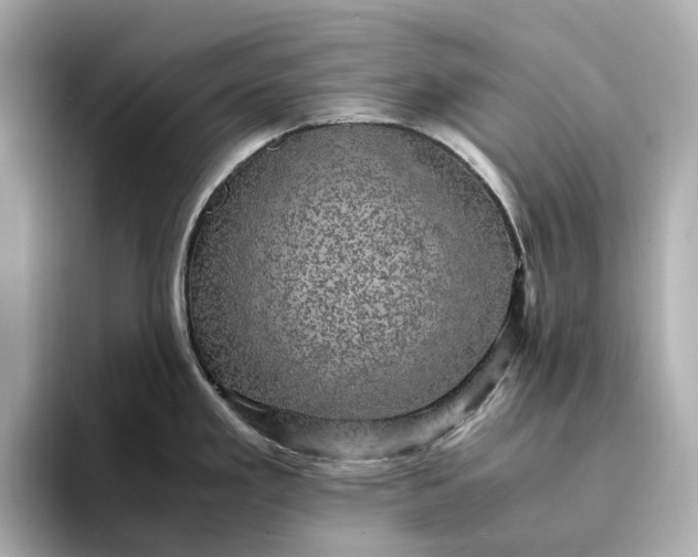 X0000095121293200712211302