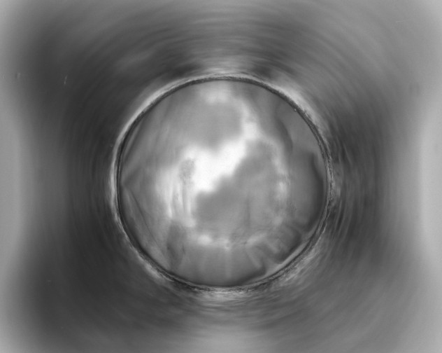 X0000095121294200712211302