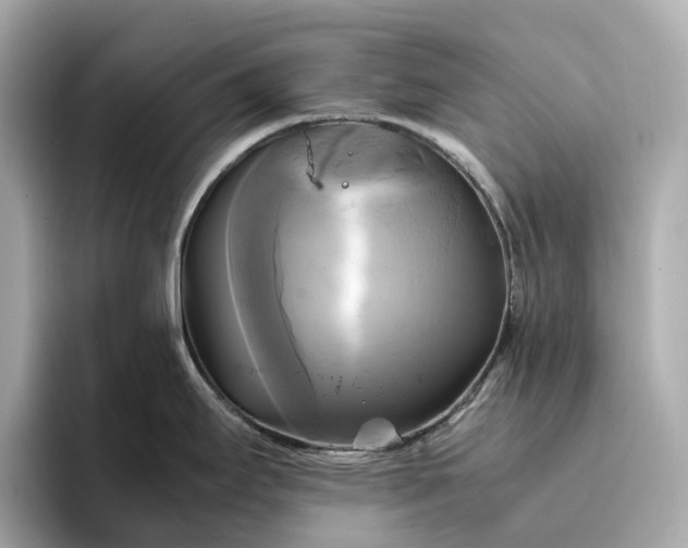 X0000095121295200712211302