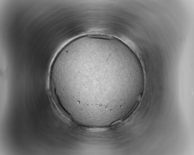 X0000095121296200712211302