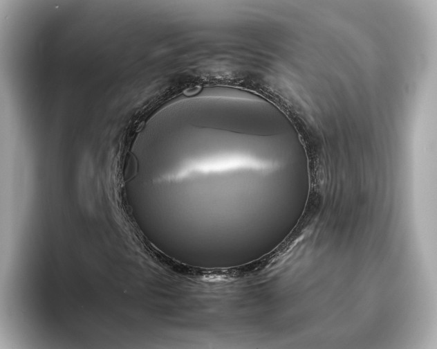 X0000095121297200712211301