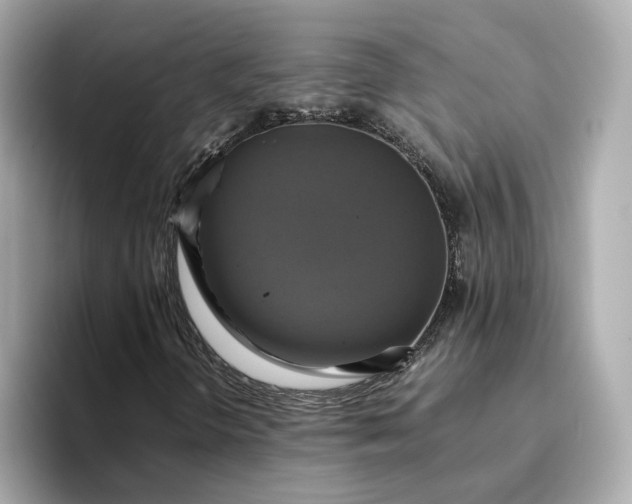 X0000095121298200712211301