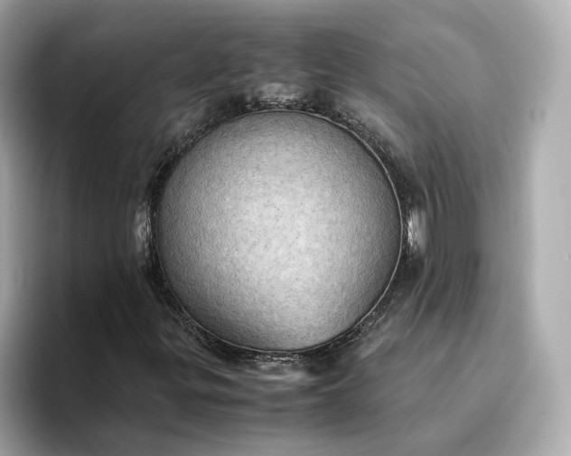 X0000095121299200712211301