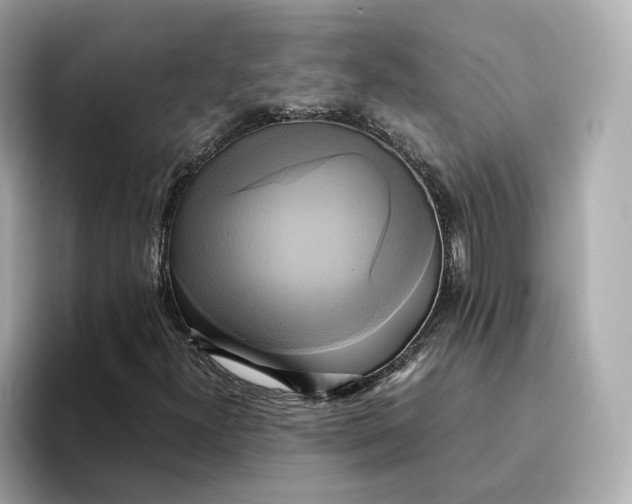 X0000095121300200712211301