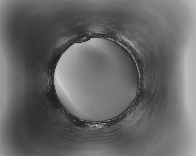 X0000095121303200712211301