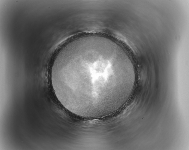 X0000095121304200712211301