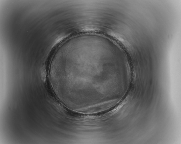 X0000095121306200712211301