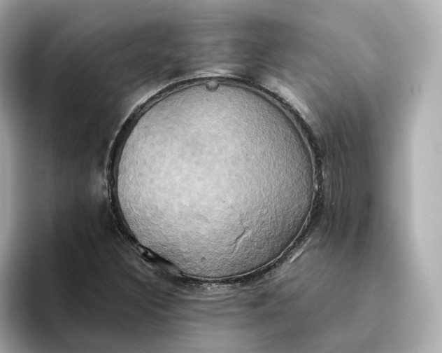 X0000095121308200712211301