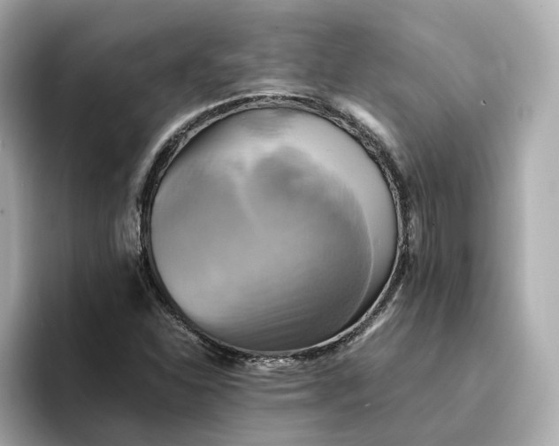 X0000095121310200712211301