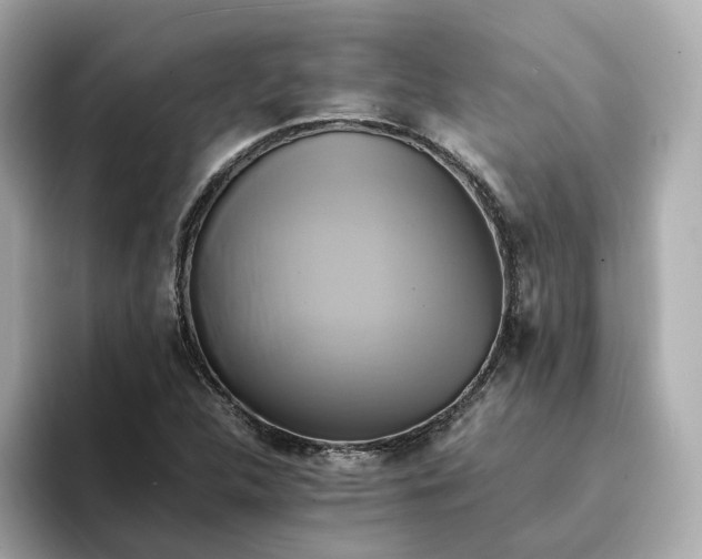 X0000095121312200712211301