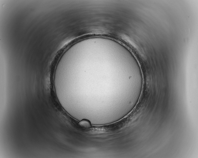 X0000095121315200712211301