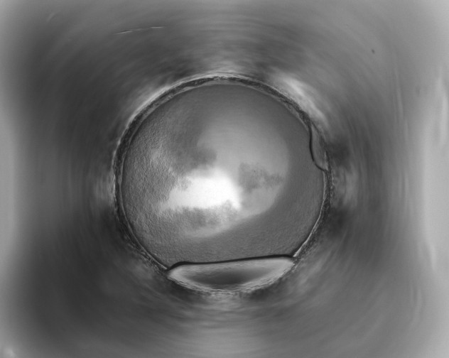 X0000095121316200712211301