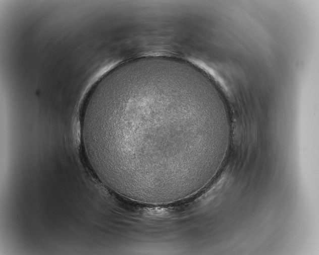 X0000095121317200712211301